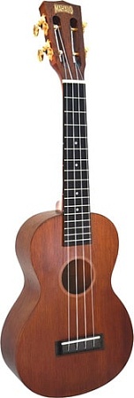 Укулеле Mahalo MJ2TBR