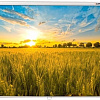 Проекционный экран Lumien Eco Picture 164x240 LEP-100118