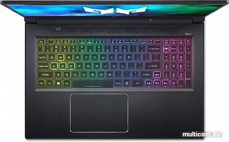 Игровой ноутбук Acer Predator Helios 300 PH317-55-704R NH.QB7ER.003