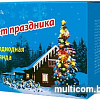 Гирлянда Uniel ULD-S0800-100/DGA