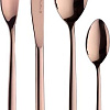 Набор столовых приборов Pintinox Olivia Copper 14H0S091