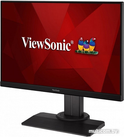 Монитор ViewSonic XG2705-2