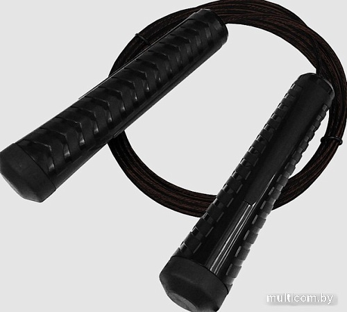 Скакалка Profitnesslab 13907 (3м, черный)