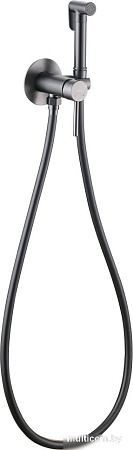 Гигиенический душ Abber Wasser Kreis AF8125NG (никель)