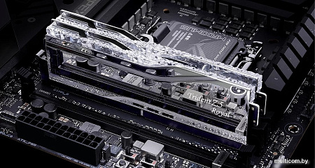 Оперативная память G.Skill Trident Z5 Royal 2x16ГБ DDR5 6000 МГц F5-6000J2836G16GX2-TR5S