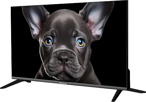 Телевизор Topdevice 24&quot; OS SALUTE TV (черный)