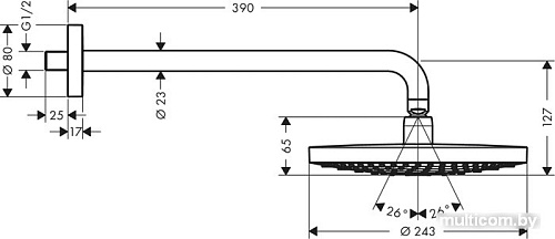Верхний душ Hansgrohe Raindance Select S 240 2jet [26466000]