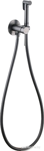 Гигиенический душ Abber Wasser Kreis AF8125NG (никель)