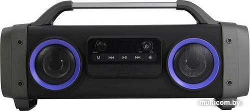 Беспроводная колонка SmartBuy Valkyr SBS-115