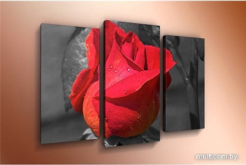 Модульная картина Arthata m-000509 120x80