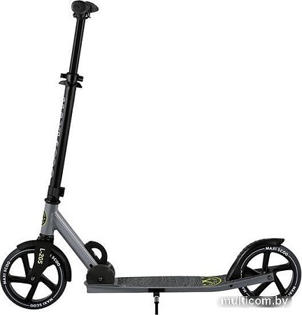 Двухколесный подростковый самокат Maxiscoo L-205 MSC-L205-G (серый)