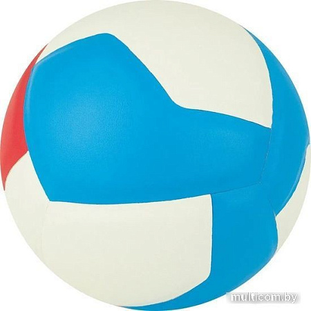 Волейбольный мяч Gala School 12 BV 5715 S (размер 5, белый/красный/голубой)