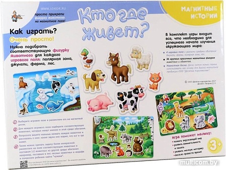 Магнитная доска Десятое королевство Кто где живет? 02652