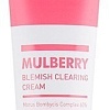 A'Pieu Крем Mulberry Blemish Clearing Cream для проблемной кожи 50 мл