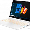 Ноутбук 2-в-1 Acer ConceptD 3 Ezel CN314-72G-761D NX.C5UER.001