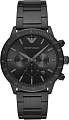 Наручные часы Emporio Armani AR11242