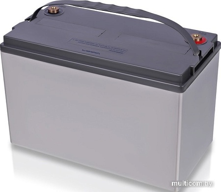 Аккумулятор для ИБП IPPON IP12-100 (12В/100 А·ч)