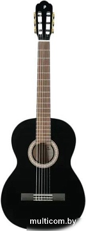 Акустическая гитара Prodipe Primera 3/4 BK