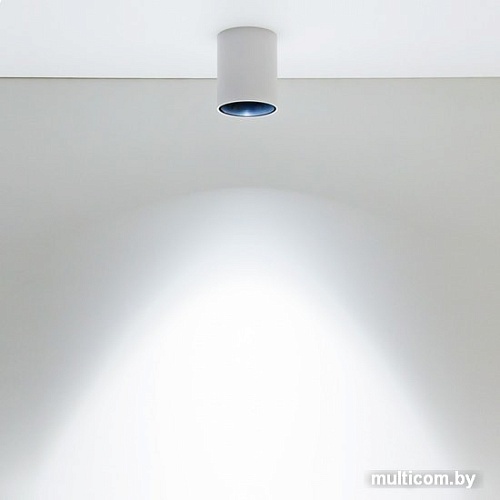 Точечный светильник Citilux Старк CL7440101