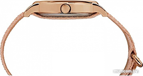 Наручные часы Timex TW2R59600