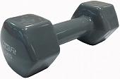Гантель Profi-Fit PF-VDB-3 3кг (серый)