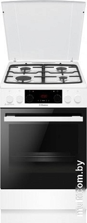 Кухонная плита Hansa FCMW59329