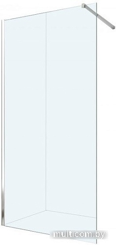 Душевая стенка Berges Wasserhaus Sky 1200 064005
