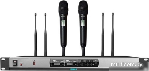 Радиосистема DSPPA D5821