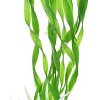 Искусственное растение Barbus Валиснерия спиральная Plant 014 30 см