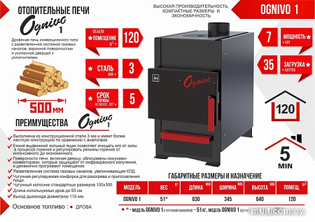 Банная печь Термокрафт Ognivo 1 простая