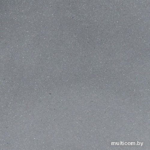 Кухонная мойка Wisent 510-29WR (с сифоном GER013)