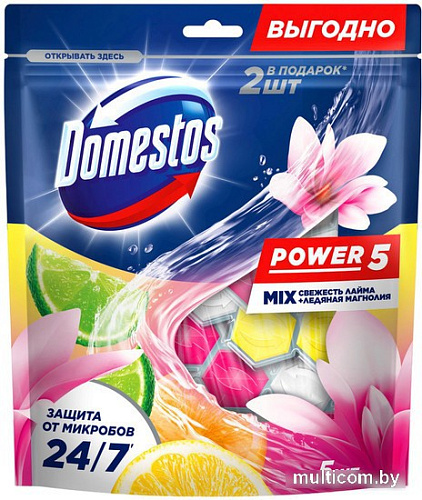 Средство для унитаза Domestos Power 5 Свежесть лайма+Ледяная магнолия (2x50г+3x50г)