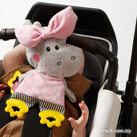 Прорезыватель Мякиши Бегемотик Милочка 724