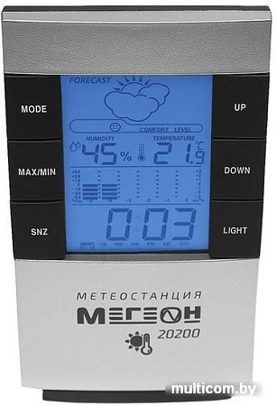 Метеостанция Мегеон 20200