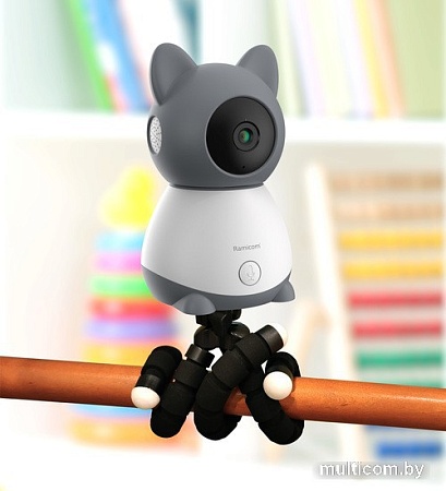 Дополнительная камера Ramicom VRC300CTR