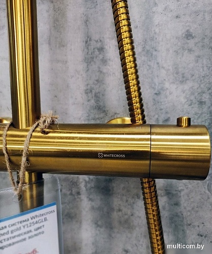 Душевая система Whitecross Y1254GLB (брашированное золото)