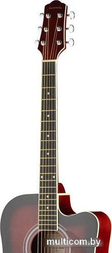 Акустическая гитара Naranda DG120CWRS