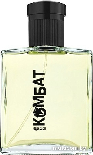 Dilis Parfum Комбат EdC (100 мл)