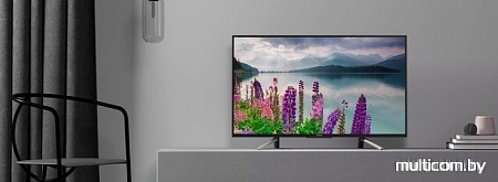 Телевизор Sony KDL-49WF805