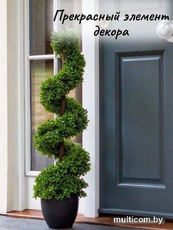 Искусственное растение Merry Bear Home Decor Самшит спиралевидный KM5312