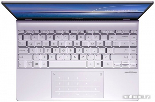 Ноутбук ASUS ZenBook 13 UX325EA-KG285