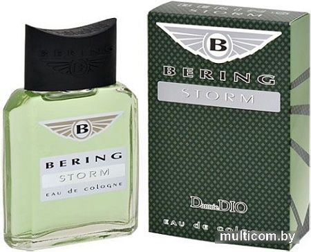 Одеколон Positive Bering Storm EdC (95 мл)