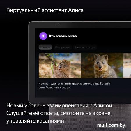 Колонка с умным дисплеем Яндекс Станция Дуо Макс (бежевый)