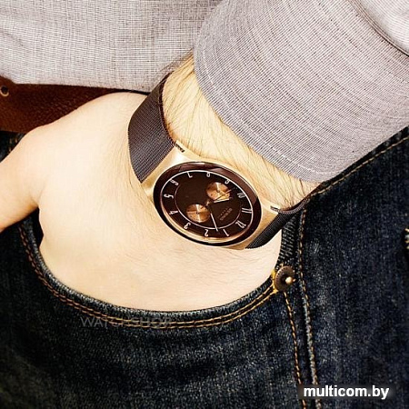 Наручные часы Bering 32139-265