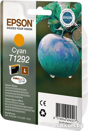 Картридж Epson C13T12924011