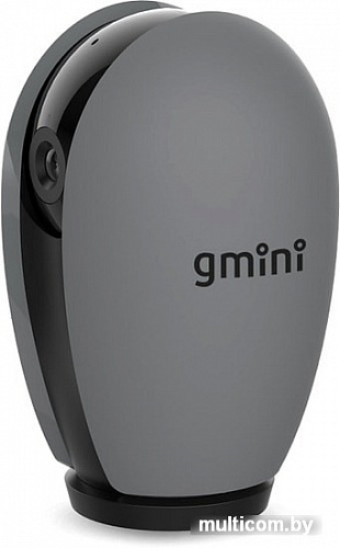 IP-камера Gmini MagicEye HDS9000Pro