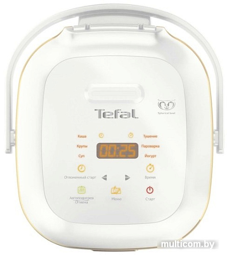 Мультиварка Tefal RK601132