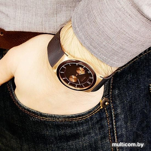 Наручные часы Bering 32139-265