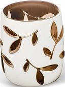 Стакан для зубной щетки и пасты Tatkraft Immanuel Olive 12035