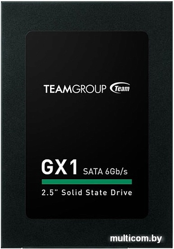 SSD Team GX1 120GB T253X1120G0C101